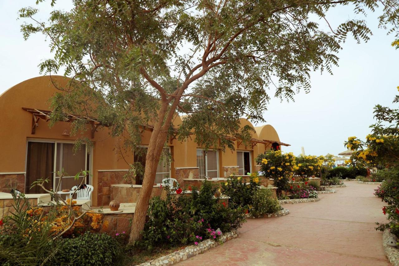 Silver Beach Boutique Hotel (Adults Only) El Qoseir Экстерьер фото