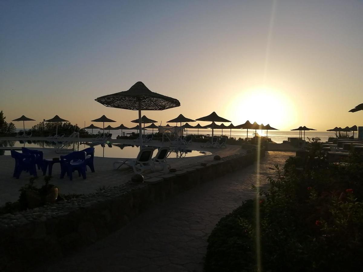 Silver Beach Boutique Hotel (Adults Only) El Qoseir Экстерьер фото