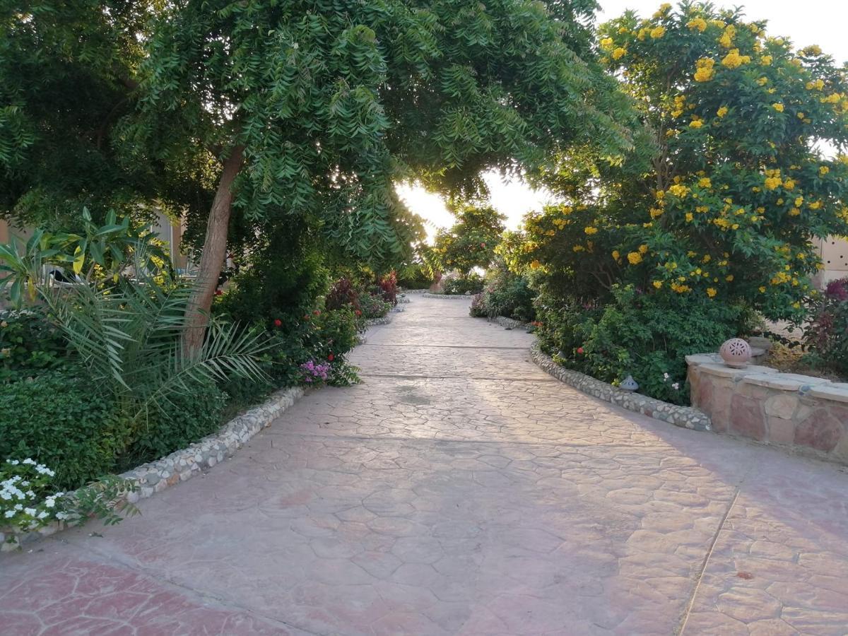 Silver Beach Boutique Hotel (Adults Only) El Qoseir Экстерьер фото