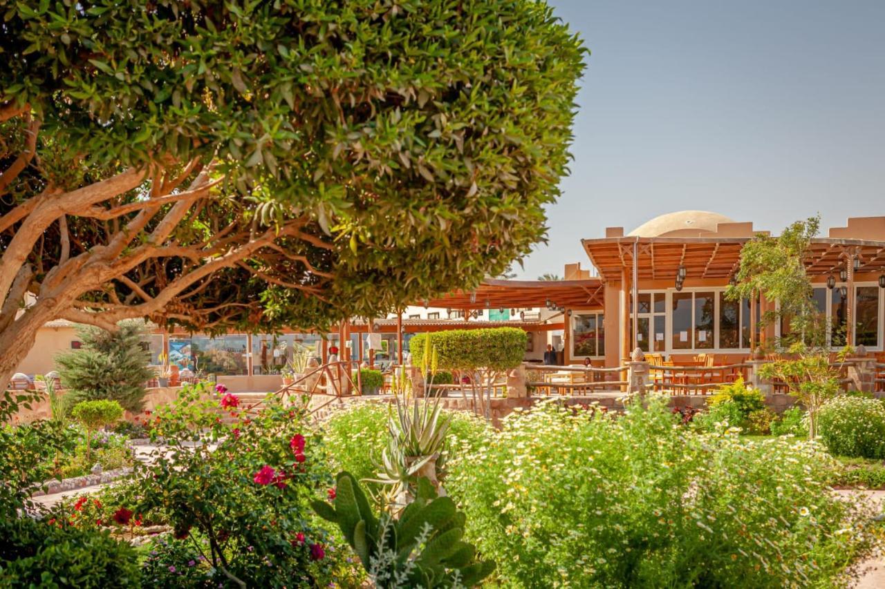 Silver Beach Boutique Hotel (Adults Only) El Qoseir Экстерьер фото