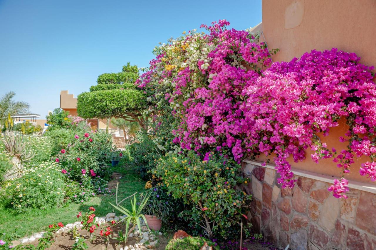 Silver Beach Boutique Hotel (Adults Only) El Qoseir Экстерьер фото